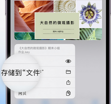 奎文apple维修中心分享iPhone文件应用中存储和找到下载文件