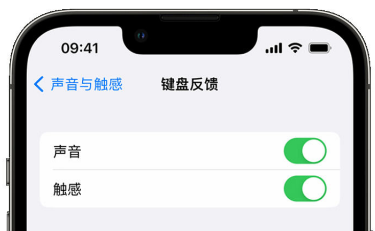 奎文苹果手机维修分享iPhone 14触感键盘使用方法 