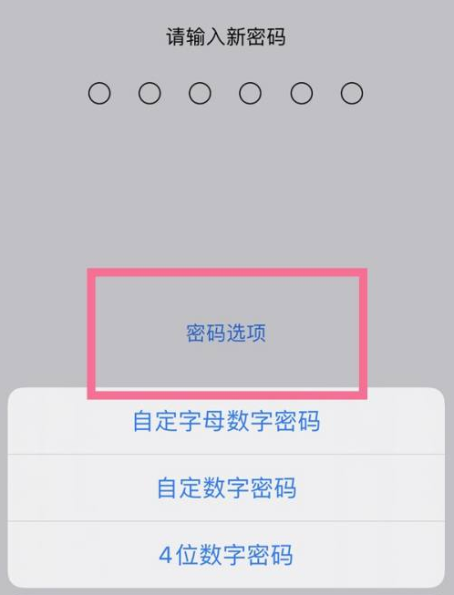 奎文苹果14维修分享iPhone 14plus设置密码的方法 