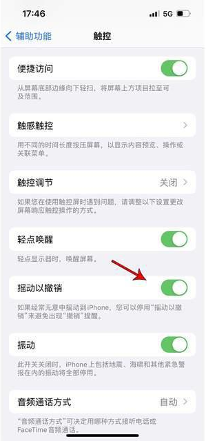 奎文苹果手机维修分享iPhone手机如何设置摇一摇删除文字 